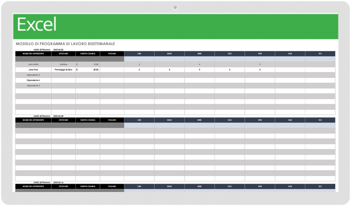 Modello di programma di lavoro bisettimanale